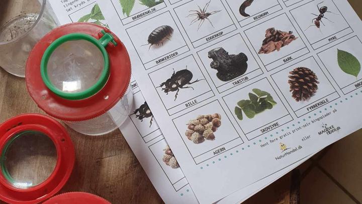 På tur i skoven med vores natur bingo plader.