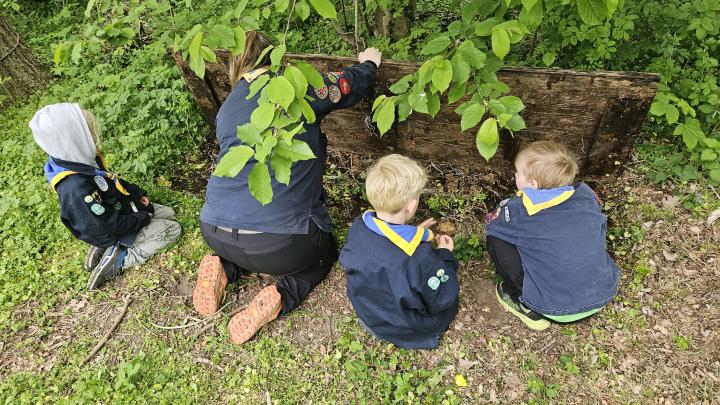 Mikroer tjekker insektbo